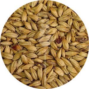 CaraHell (Weyermann)