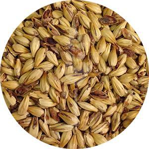 Caramel 40L Malt (Briess)