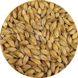 German Dark Munich (Weyermann)