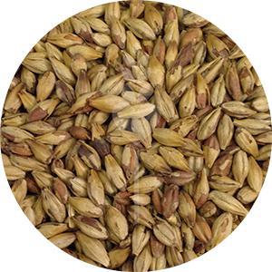 Biscuit Malt (Dingemans)