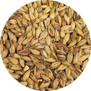 Special Roast Malt (Briess)