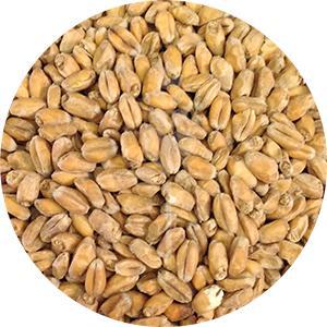 German Pale Wheat (Weyermann)