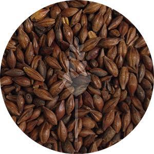 Pale Chocolate Malt (Crisp)