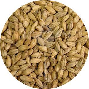 German Pilsner Malt (Weyermann)
