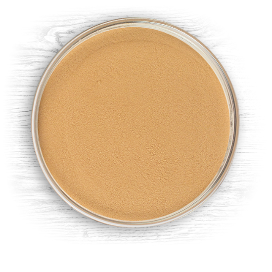 Briess Traditional Dark Dry Malt Extract (DME)