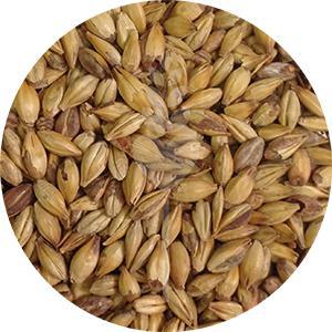 Carastan Malt (Simpsons)