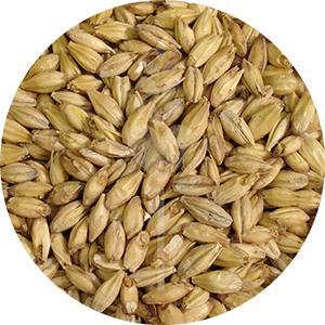 US Pilsner Malt (Briess)