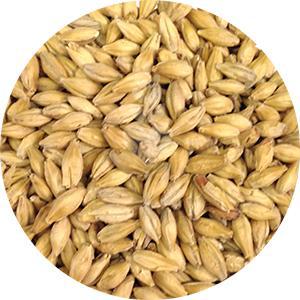 German 2-Row Pale Malt (Weyermann)