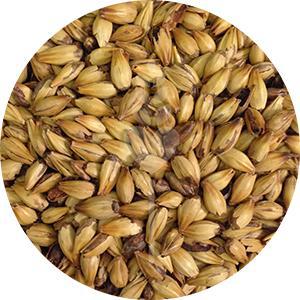 Caramel 90L Malt (Briess)