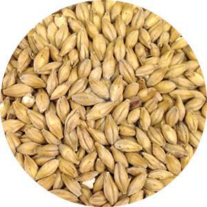 Floor-Malted Bohemian Pilsner (Weyermann)