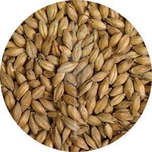 Golden Promise (Simpsons)