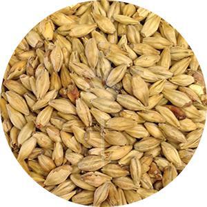 German Light Munich Malt Type 1 (Weyermann)