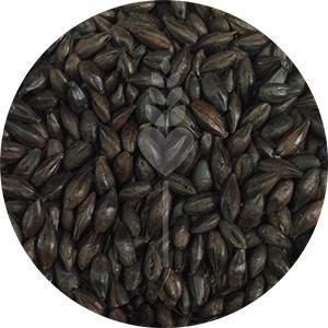 Carafa II (Weyermann)