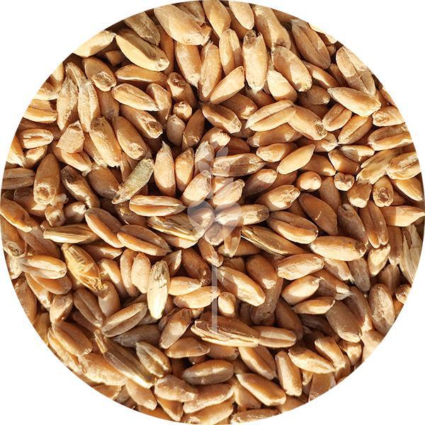 Spelt Malt (Weyermann)