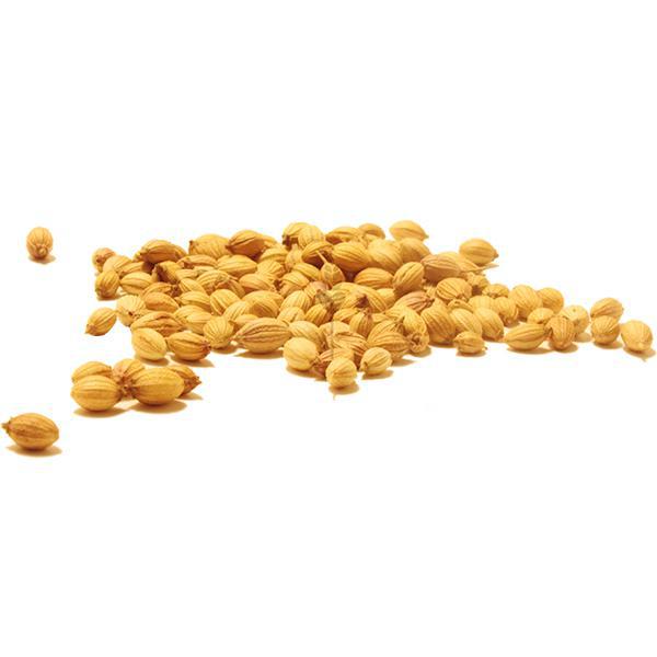 Coriander Seed
