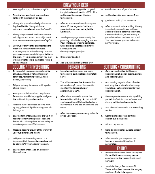 Lemon Shandy Partial Mash 5 Gallon