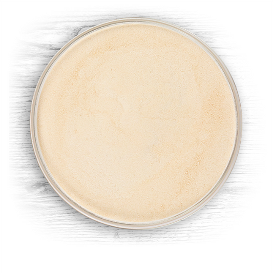 Briess Bavarian Wheat Dry Malt Extract (DME)