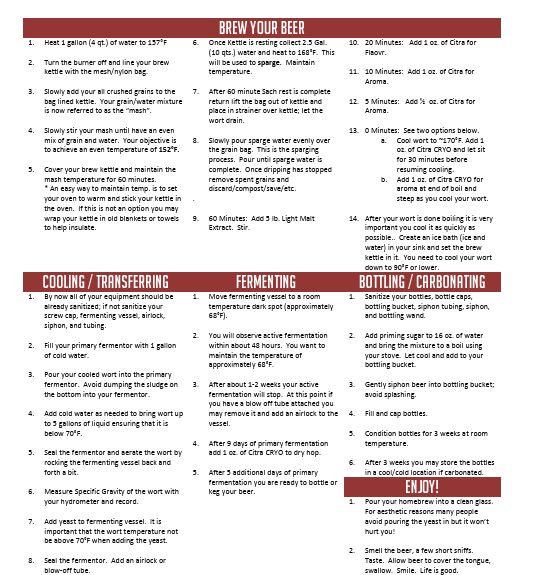Citra Pale Ale Partial Mash 5 Gallon