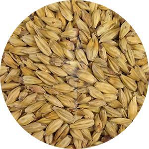 Melanoidin (Weyermann)