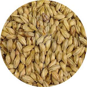 2-Row Pale Malt (Briess)