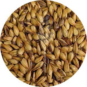 Caramel 120L Malt (Briess)