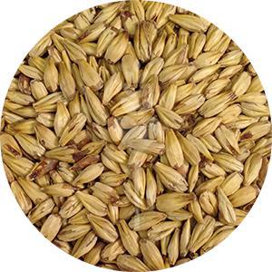 Caramel 10L Malt (Briess)