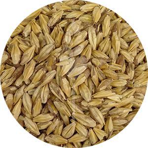 Carapils Malt (Briess)