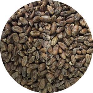 CaraWheat (Weyermann)