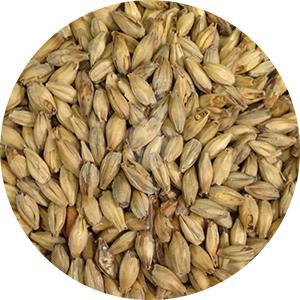 Bonlander Munich Malt 10L (Briess)