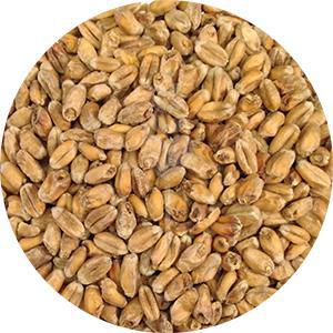 German Dark Wheat (Weyermann)