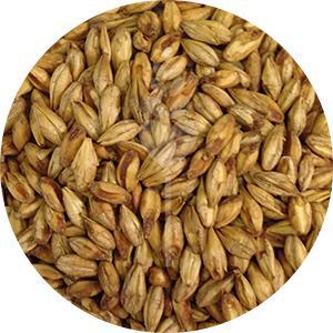Cherry Wood Smoked Malt (Briess)