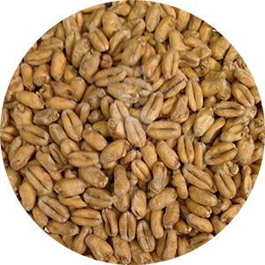 Oak Smoked Wheat (Weyermann)