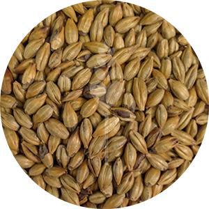 Amber Malt (Swaen)